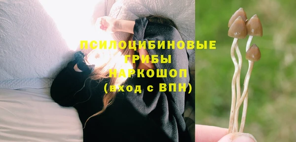 мдма Карпинск