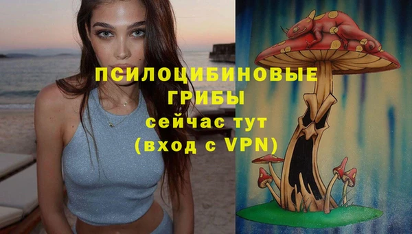 мдма Карпинск