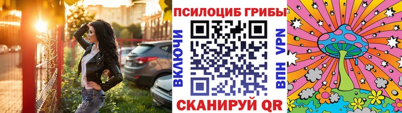 Галлюциногенные грибы Cubensis  Купить где  Новоуральск 